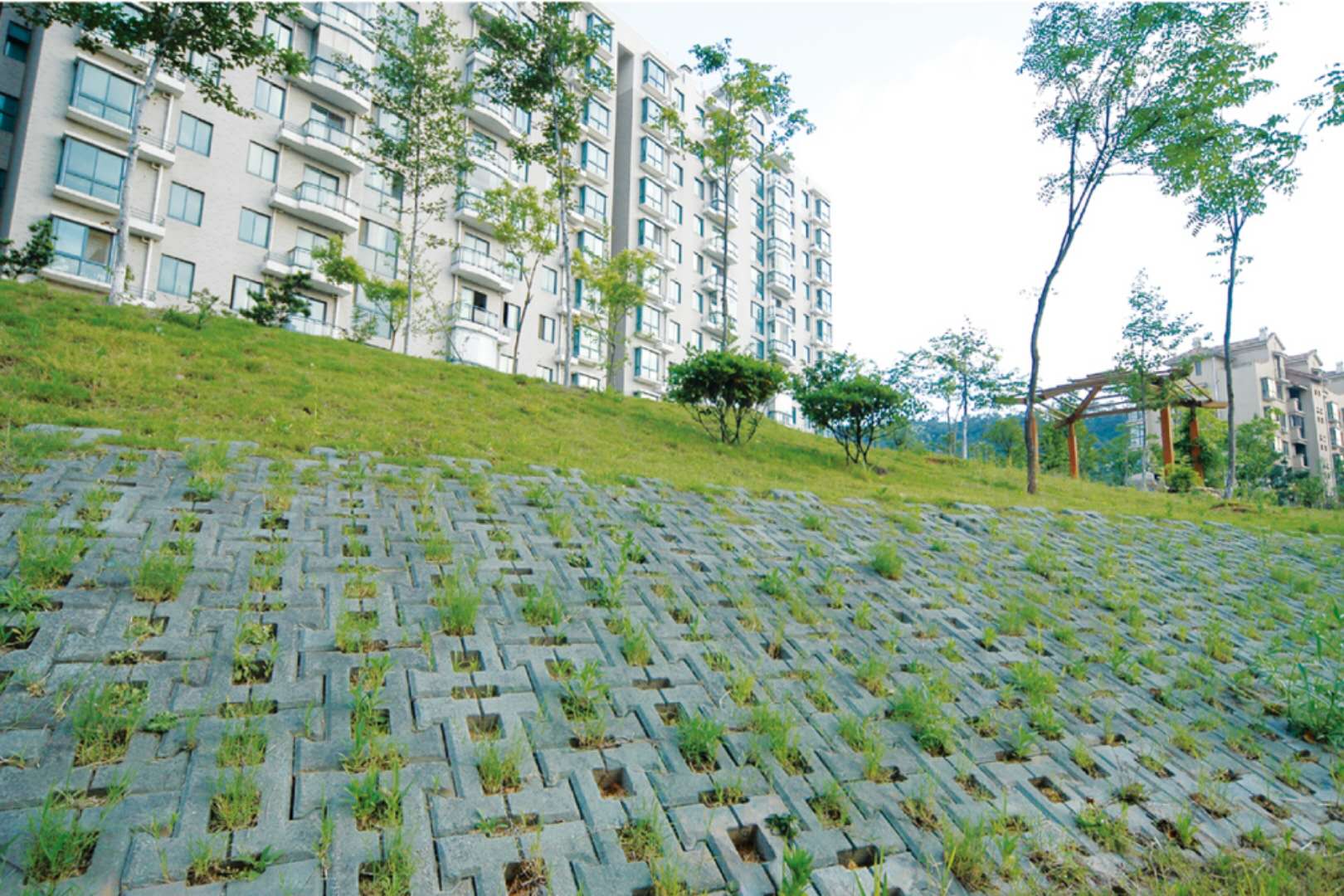 山东植草砖